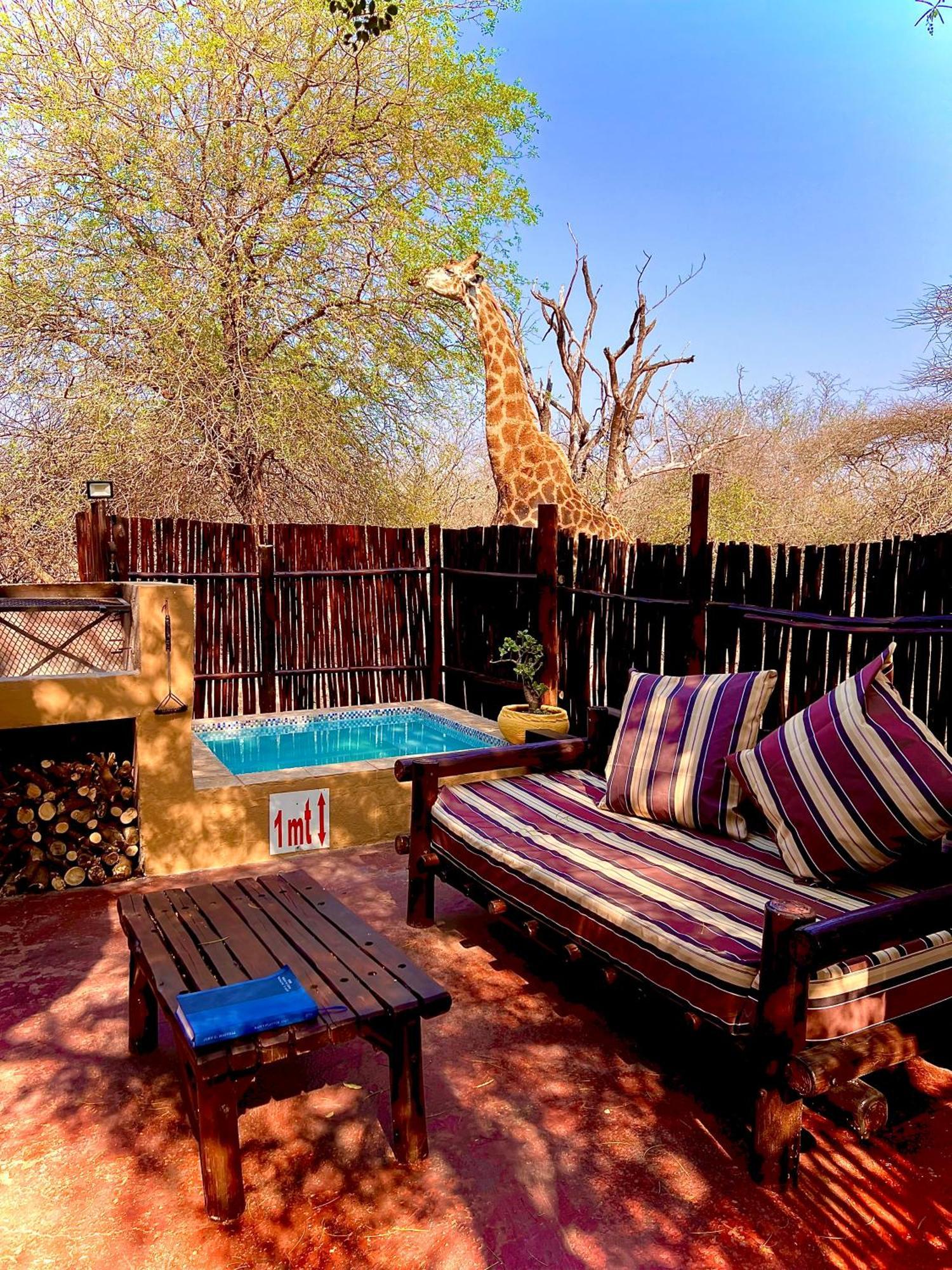 Manzini Chalets Marloth Park Bagian luar foto